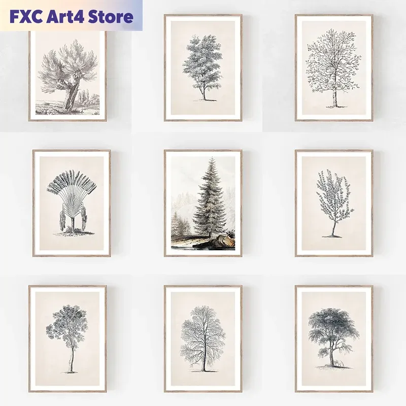 Photography Landscape - Frameloze vintage schetsbomen landschap botanische cipressenboom