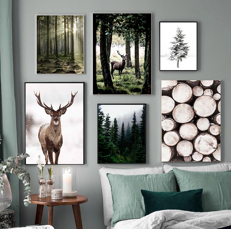 Winter Sneeuw Bos Herten Uil Z - Photography Landscape recensie en prijs
